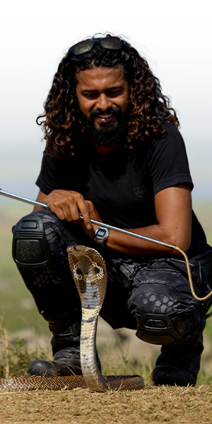Surya Keerthi Cobra Rescue