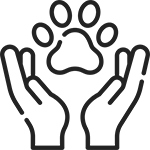 handling py sk